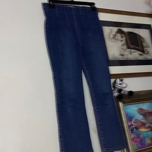 Free People Blue Denim Pants Size 26 inseams 25 inches Rise 13 inches